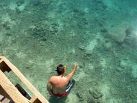 dave feeding fish 2 